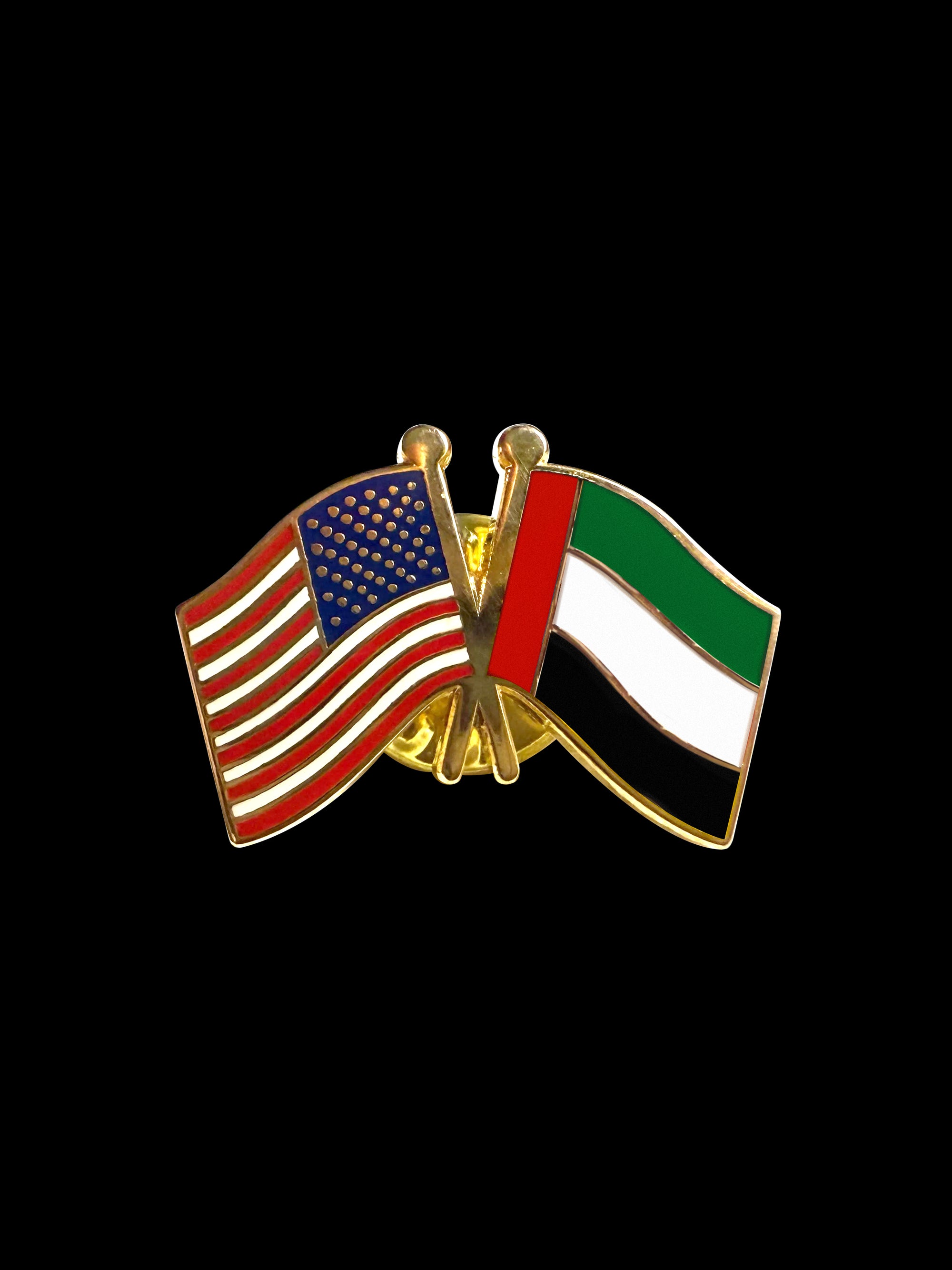 United Arab Emirates Friendship Lapel Pin