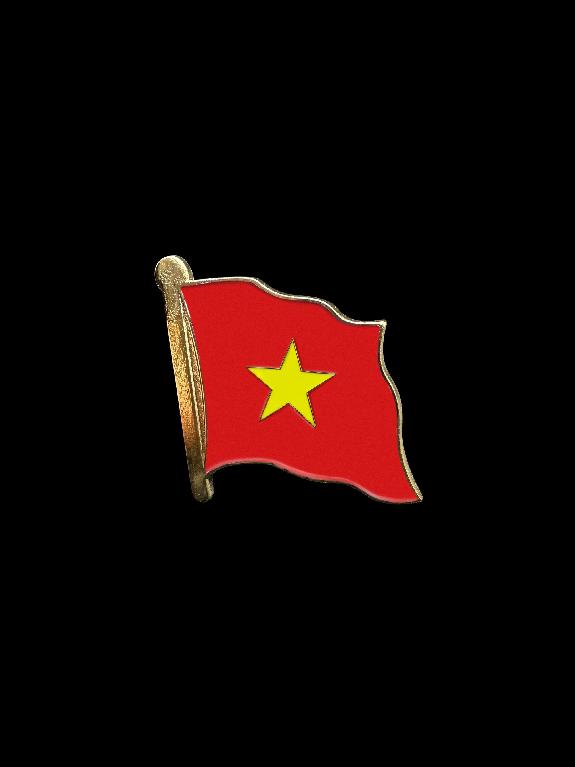Vietnam Lapel Pin