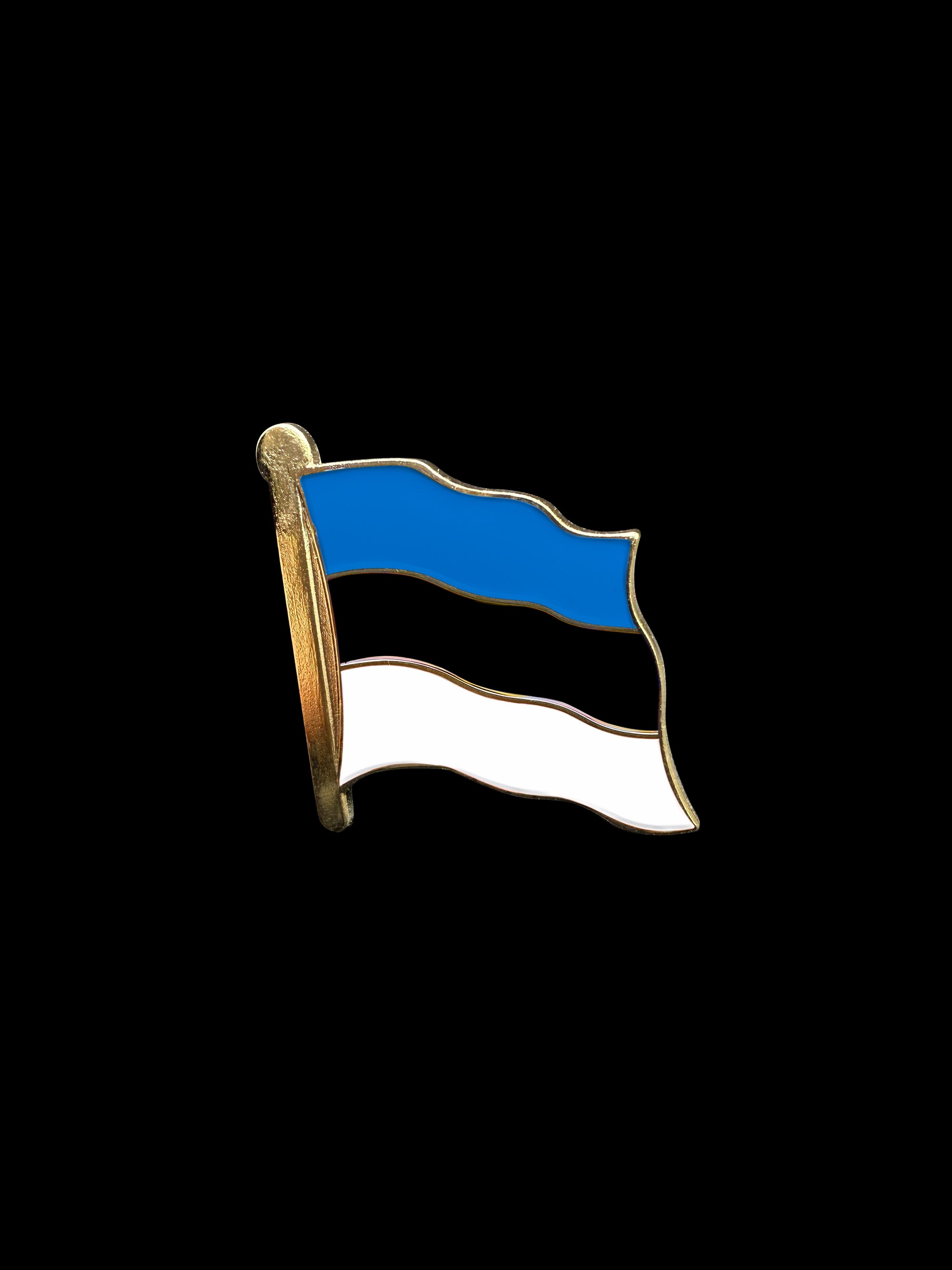 Estonia Lapel Pin