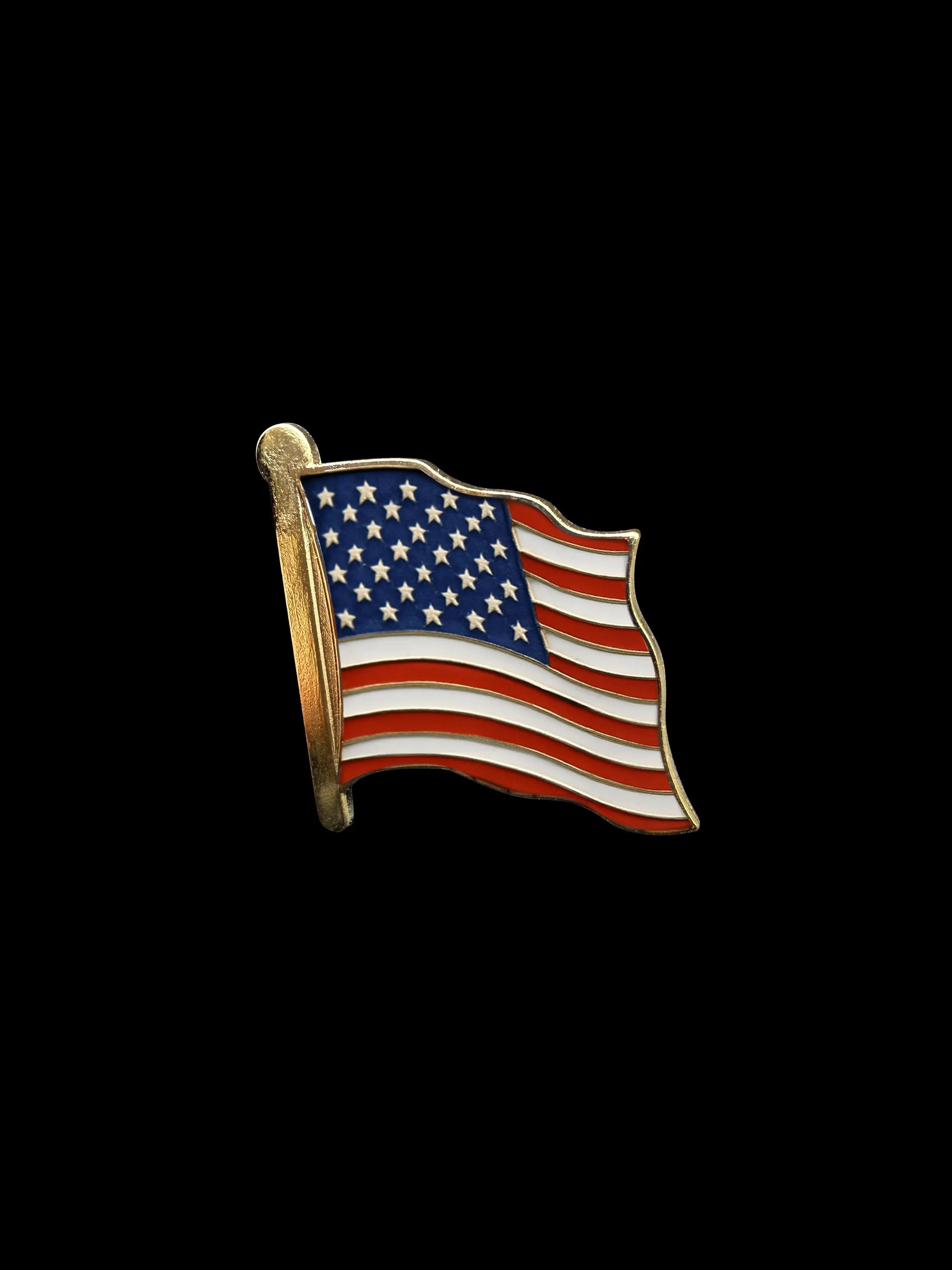 United States Lapel Pin