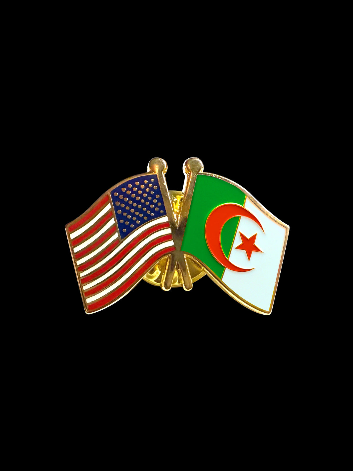 Algeria Friendship Lapel Pin