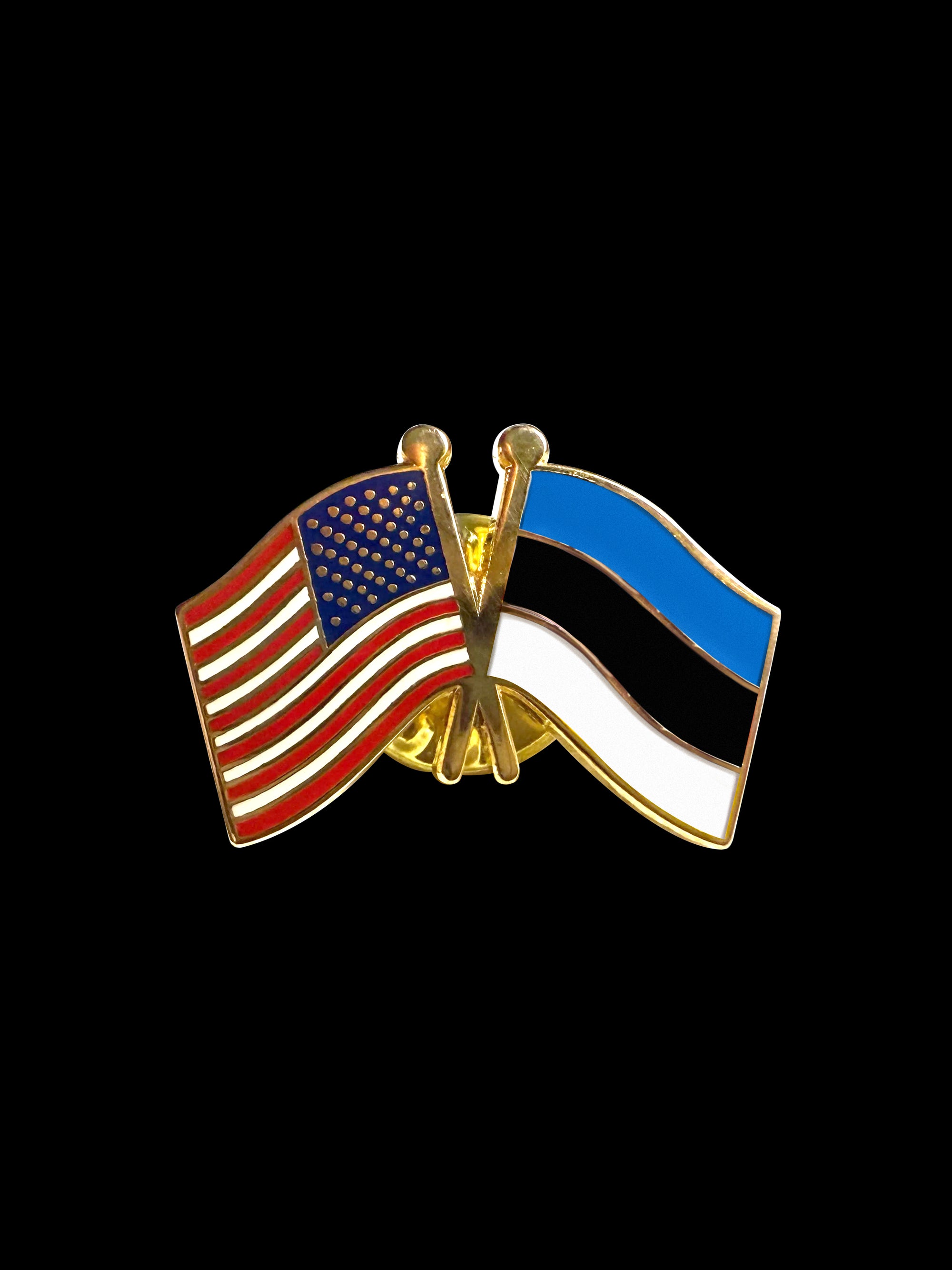 Estonia Friendship Lapel Pin