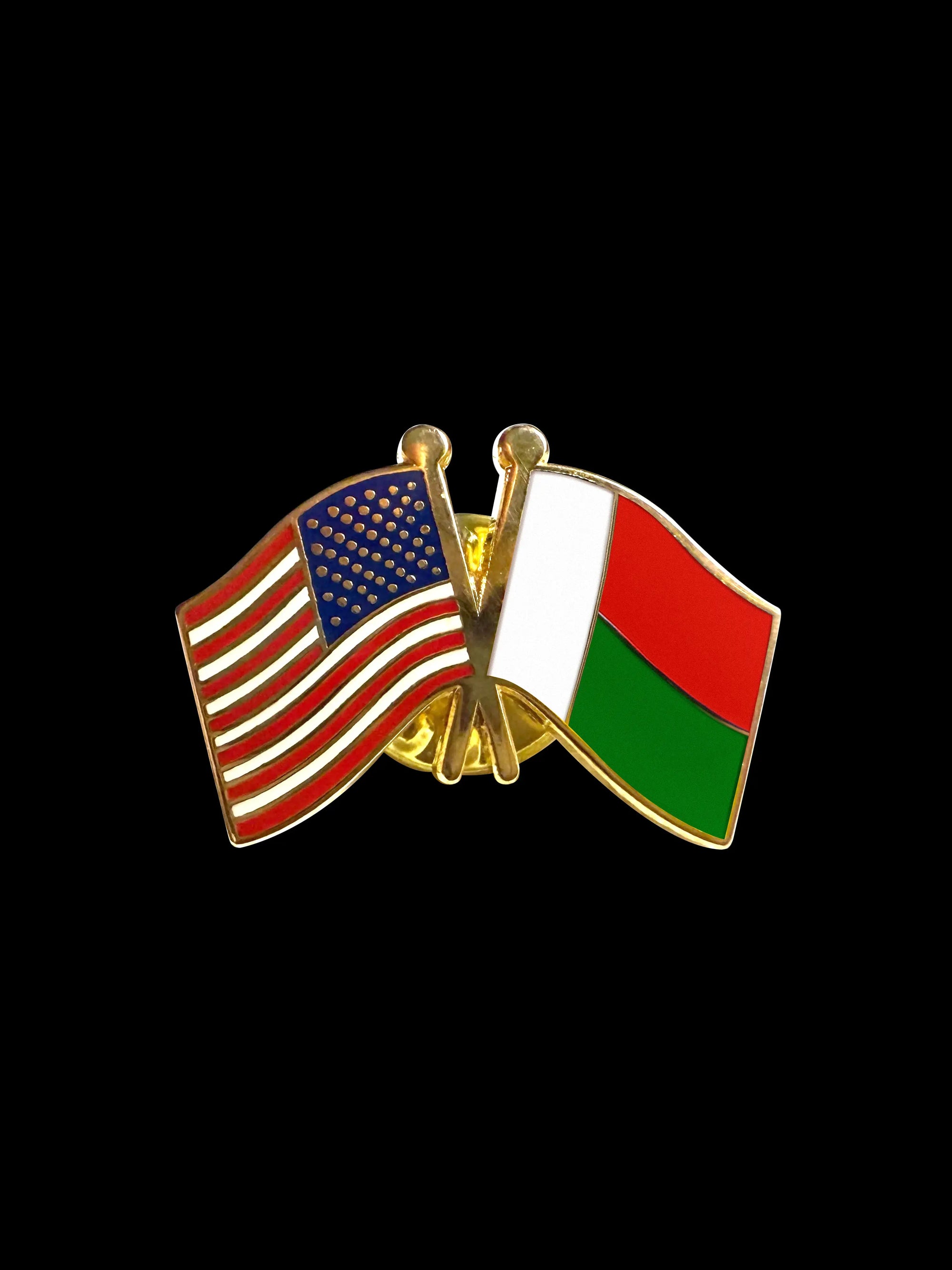 Madagascar Friendship Lapel Pin