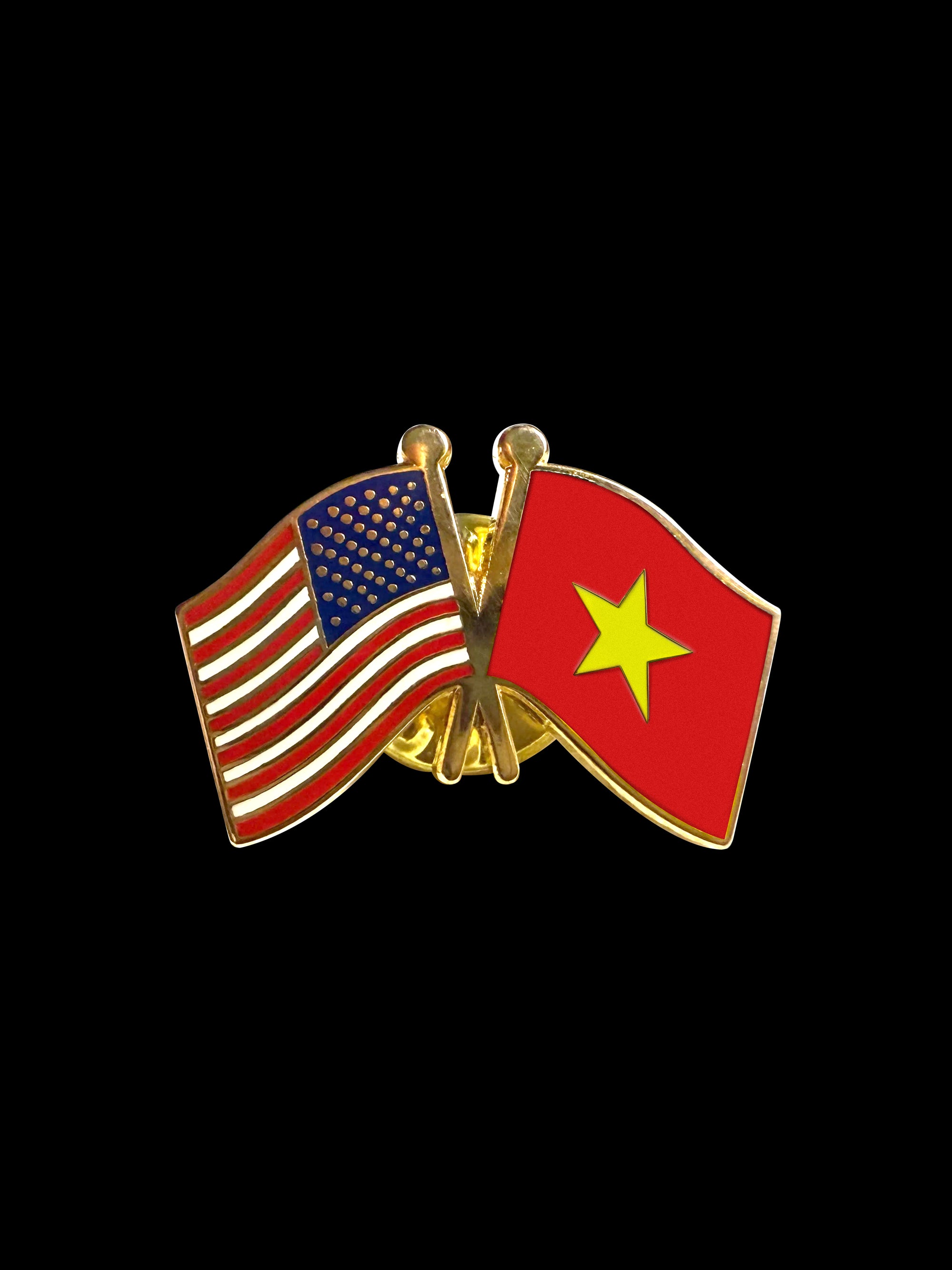 Vietnam Friendship Lapel Pin
